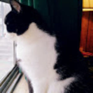 Meet your Posher, Cindy